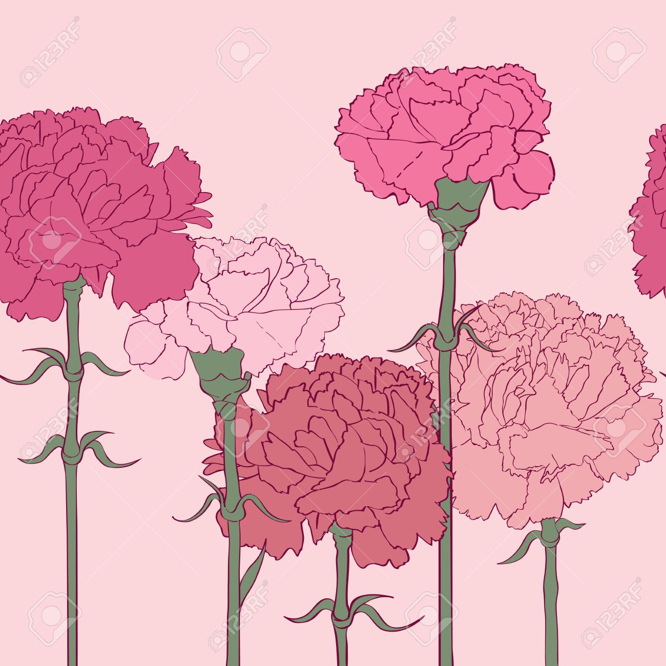 Carnations Drawing at GetDrawings | Free download