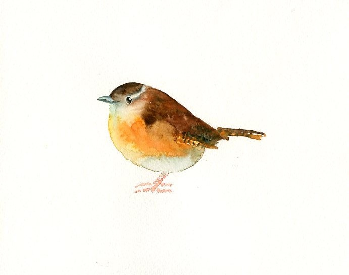 Carolina Wren Drawing at GetDrawings | Free download