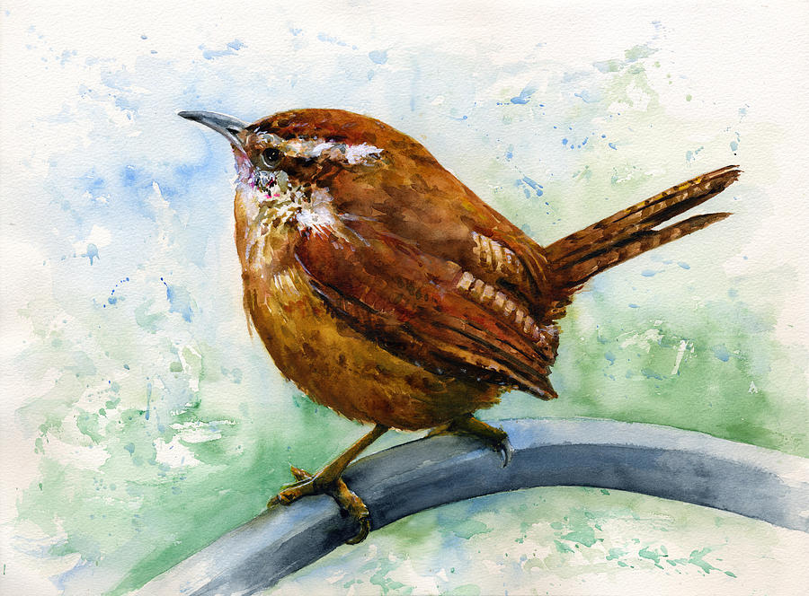 Carolina Wren Drawing at GetDrawings | Free download