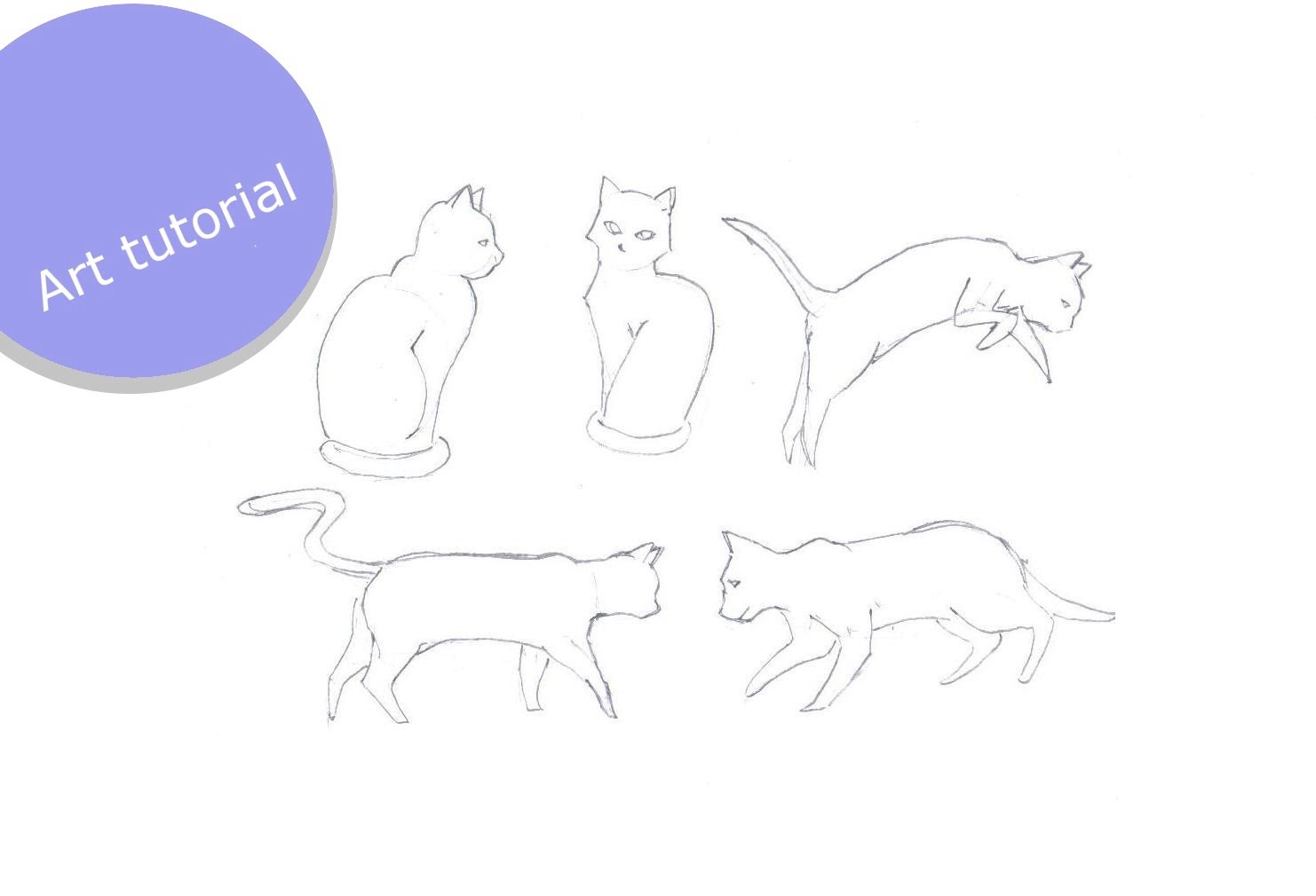 cat drawing poses