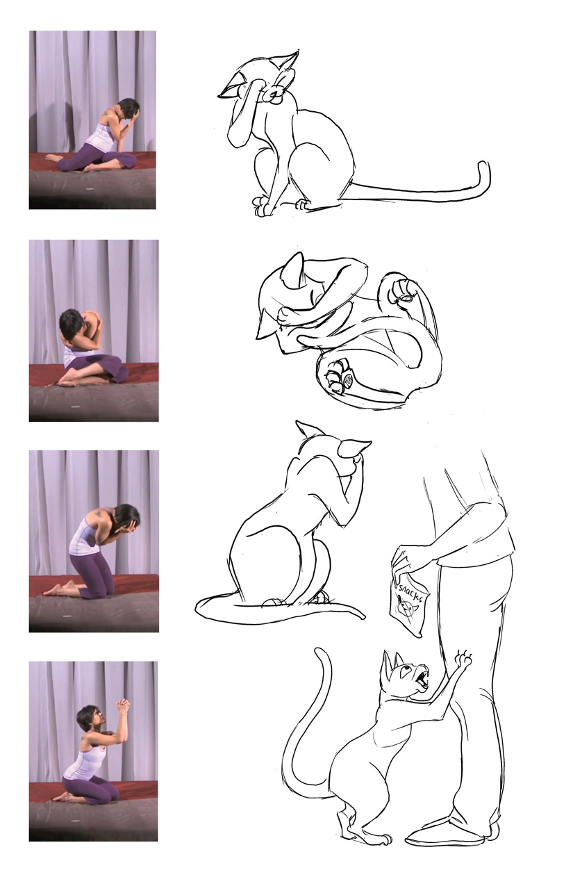 cat drawing poses