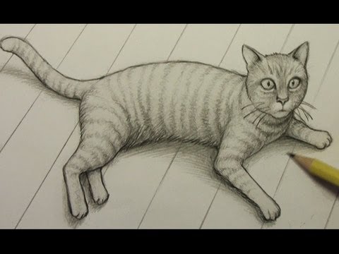 Cat Drawing Realistic at GetDrawings | Free download