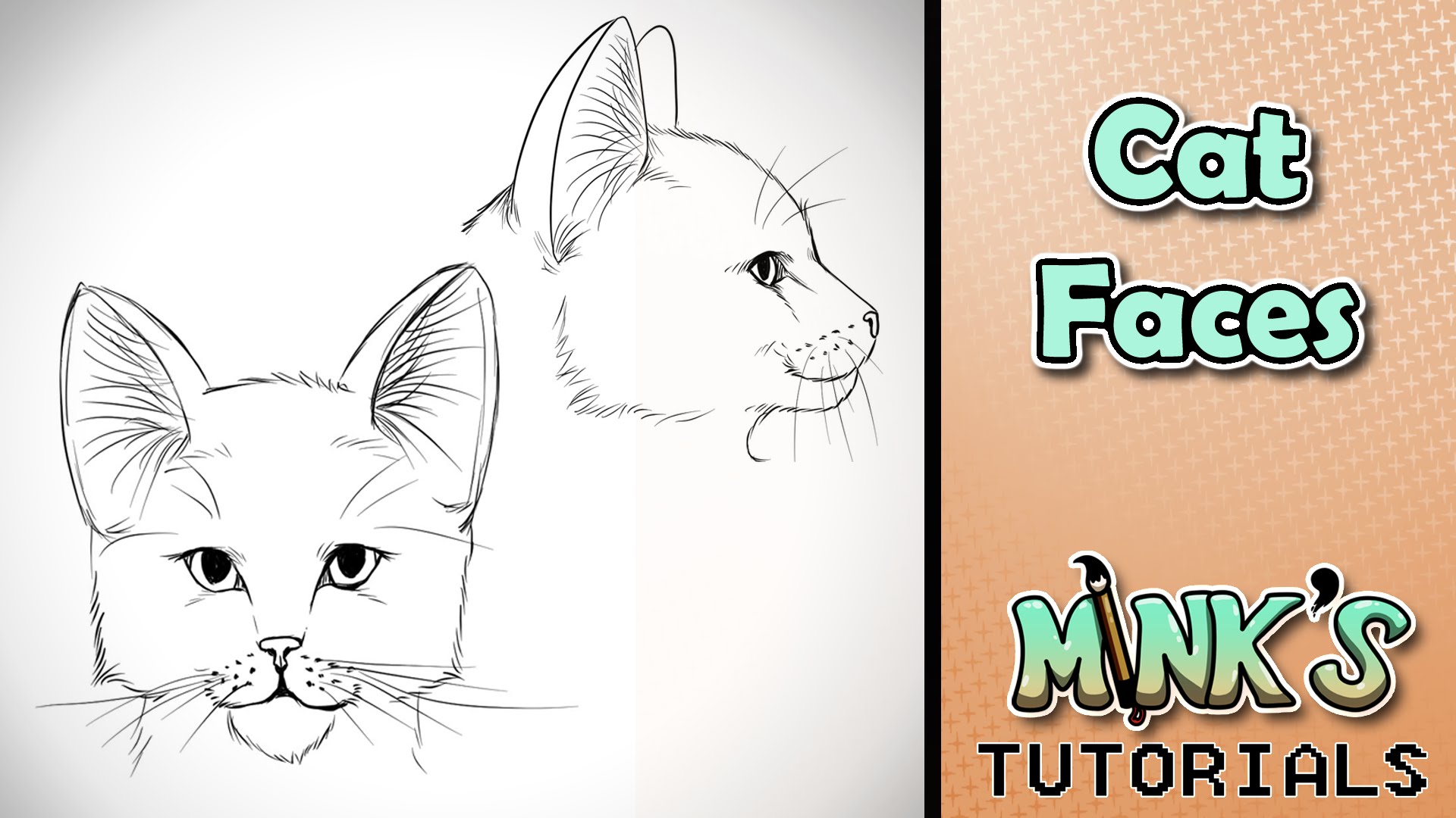 How to draw Cat face