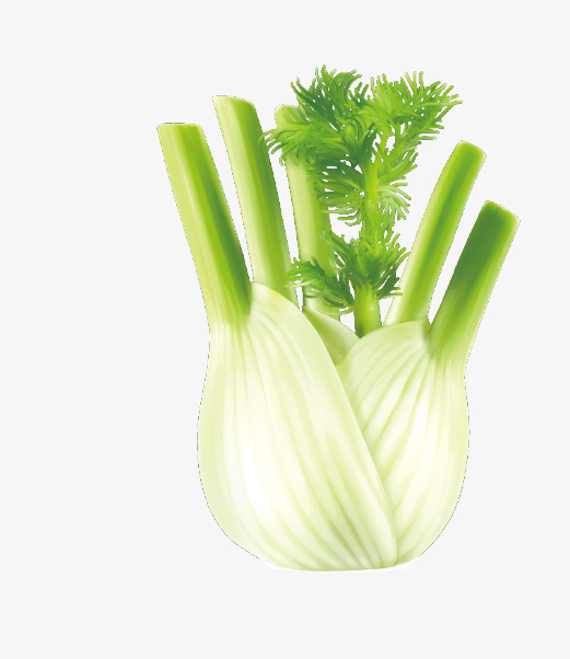 Celery Drawing at GetDrawings | Free download