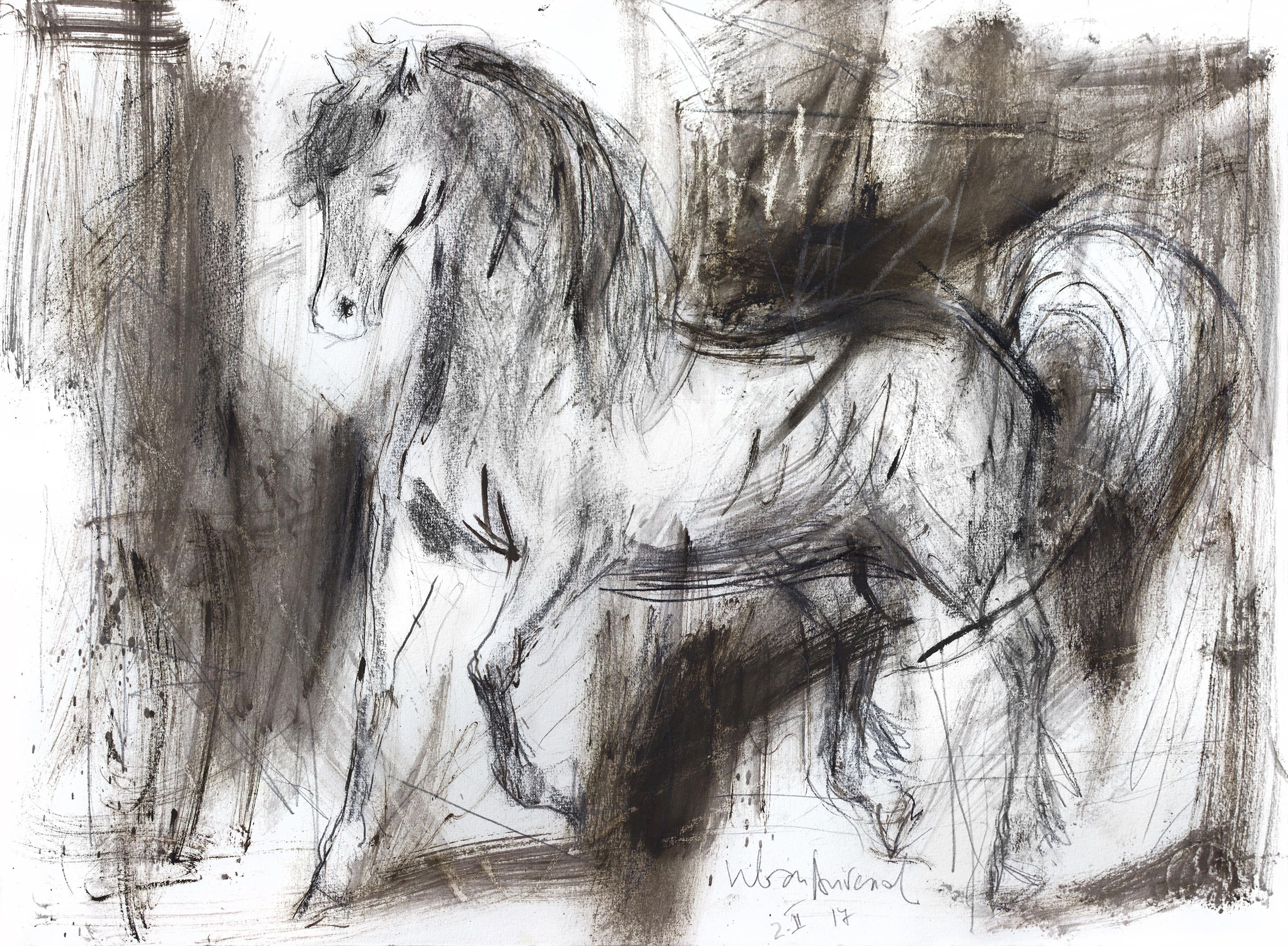 Charcoal Animal Drawing at GetDrawings Free download