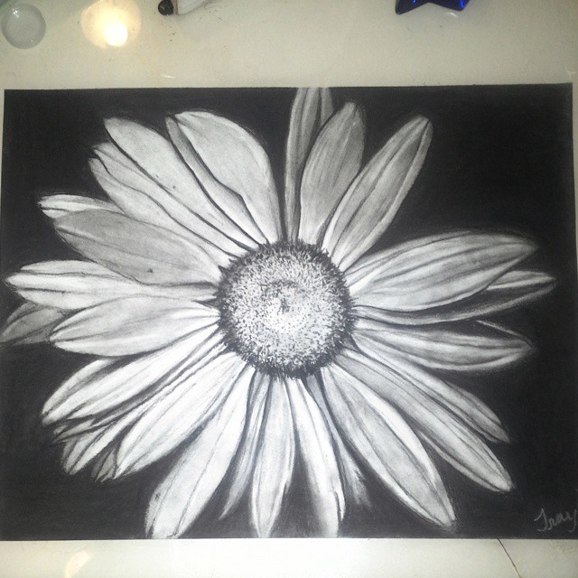 Charcoal Flower Drawing For Sale / 22 best images about Pencil Drawings