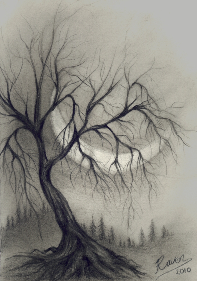 Drawing trees in charcoal, free drawing lesson