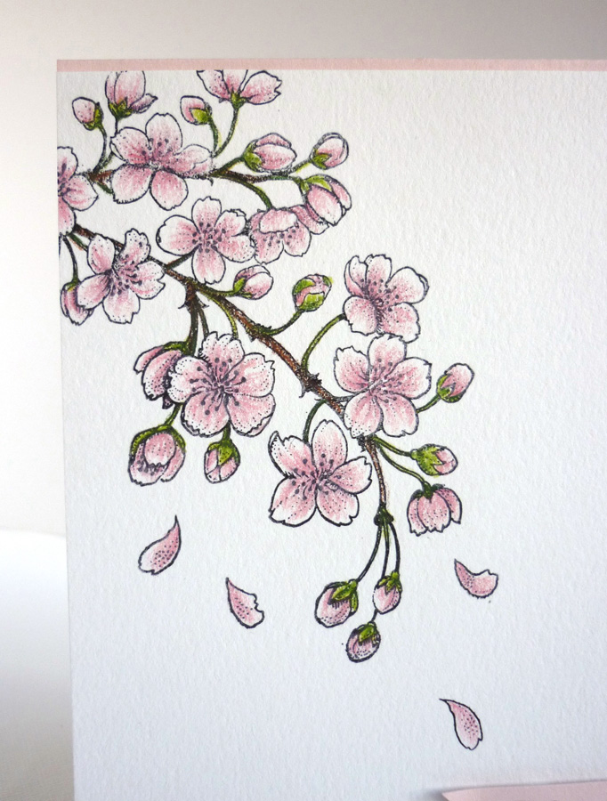 cherry blossom doodle