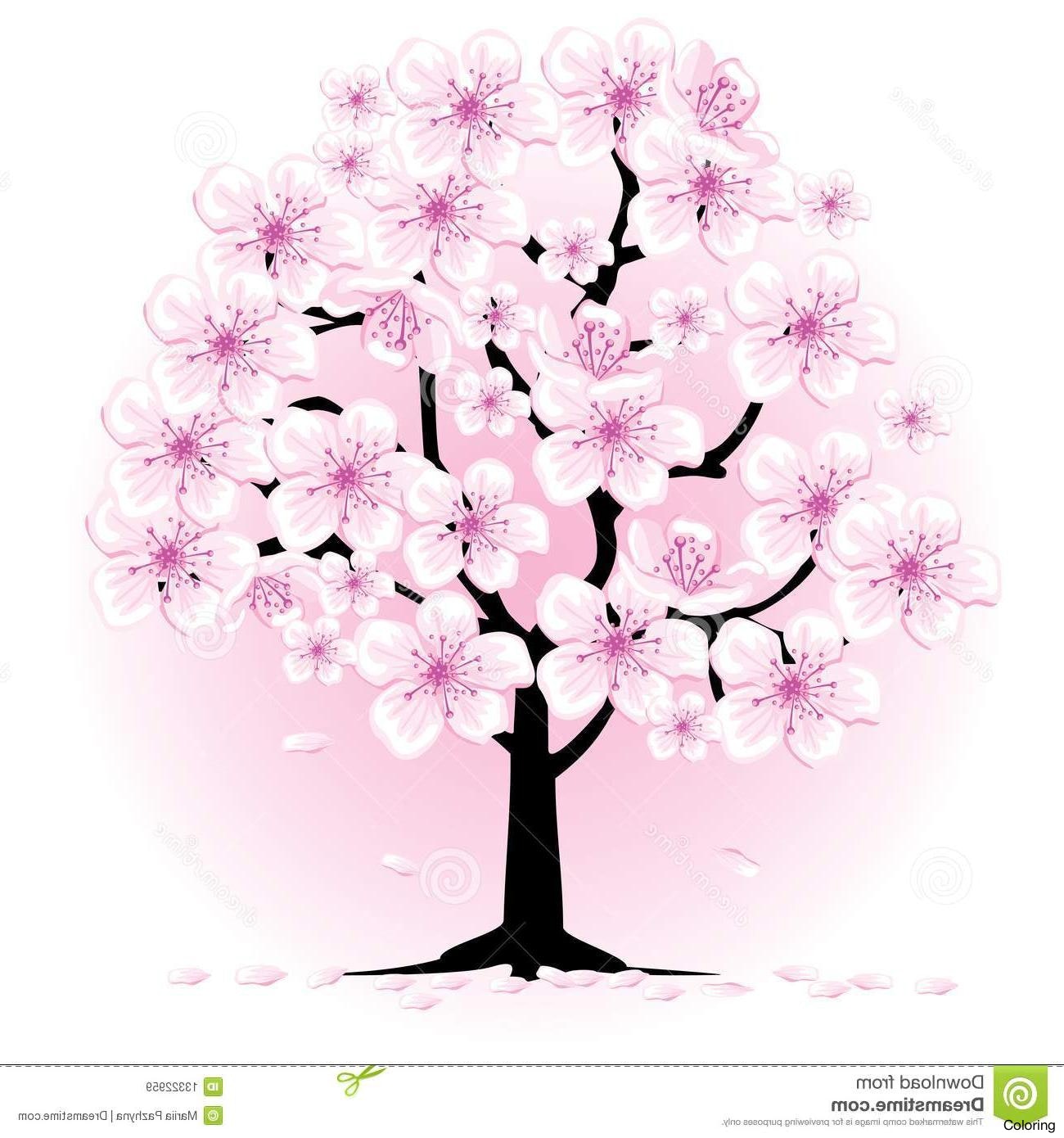 Cherry Blossom Tree Drawing Easy at GetDrawings | Free download