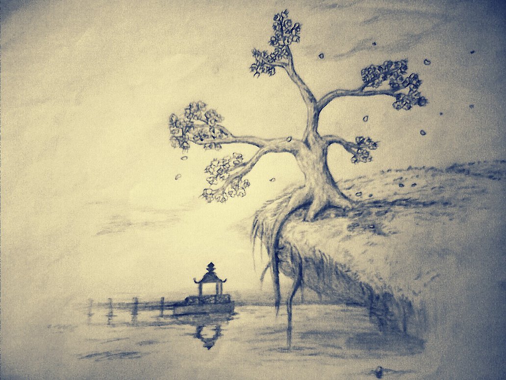 Cherry Blossom Tree Pencil Drawing at GetDrawings | Free download