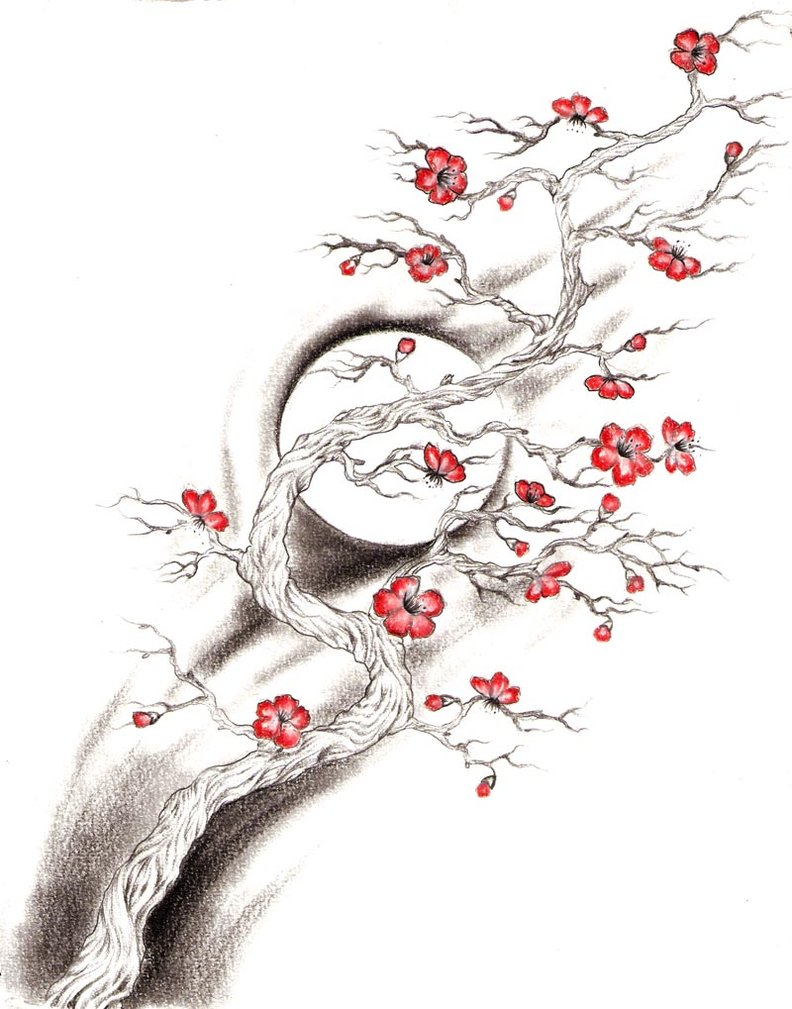 Pencil Cherry Blossom Sketch - pic-mayonegg