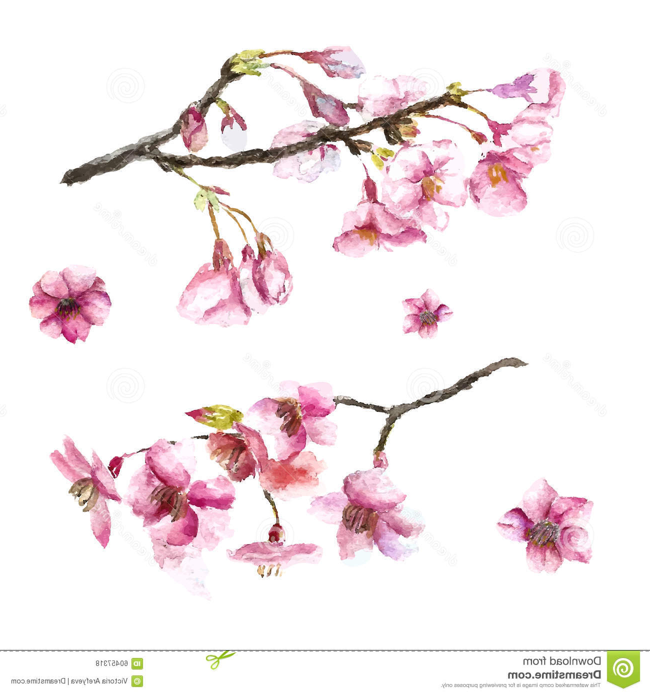 Cherry blossom branches drawing