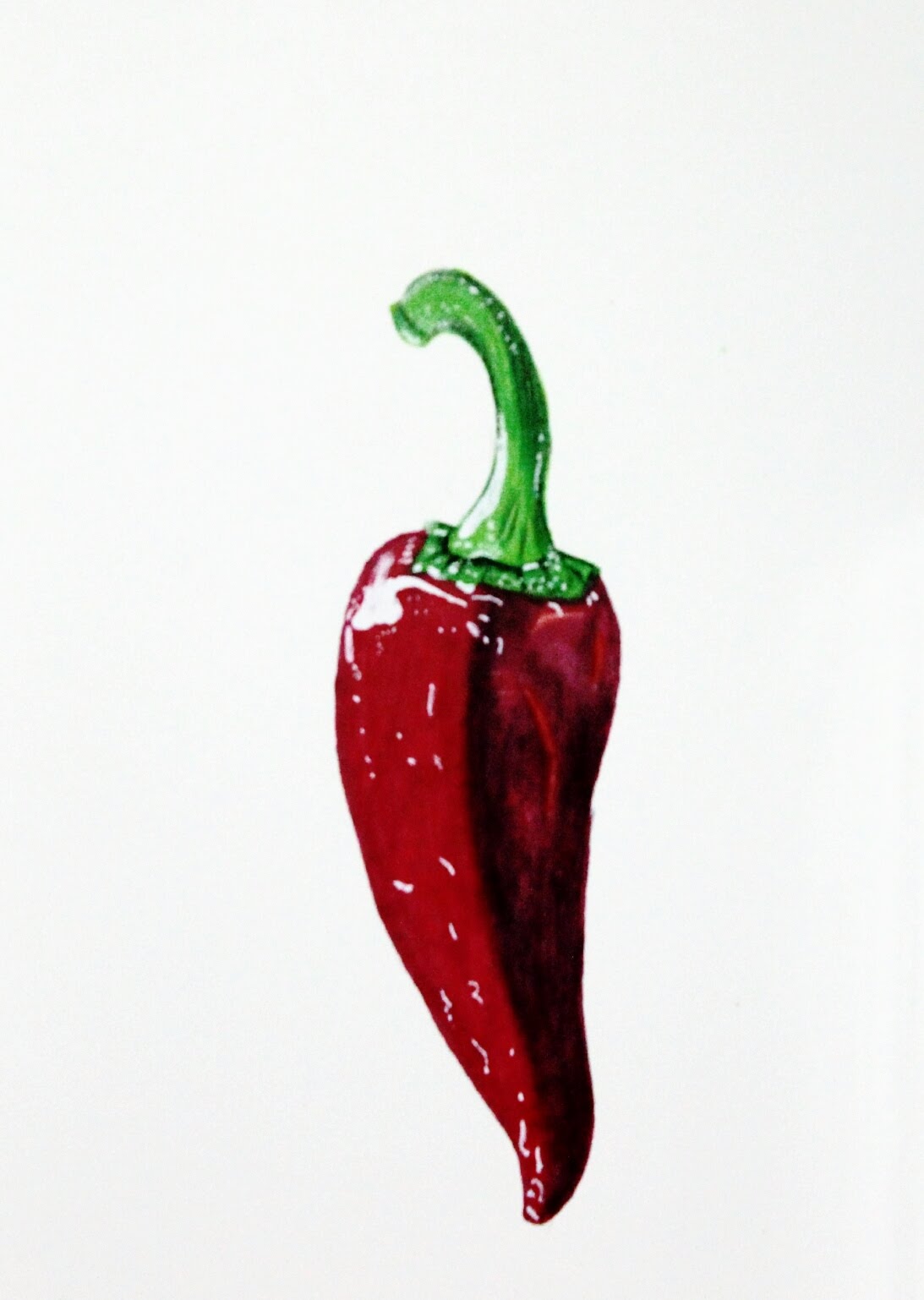 Chili Drawing at GetDrawings Free download