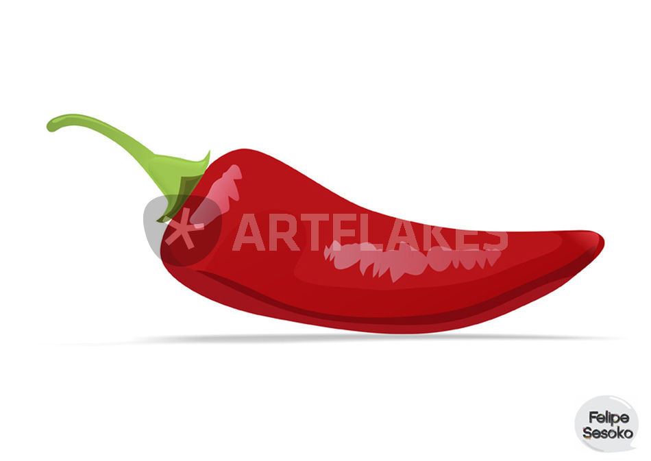 Chili Pepper Drawing at GetDrawings | Free download