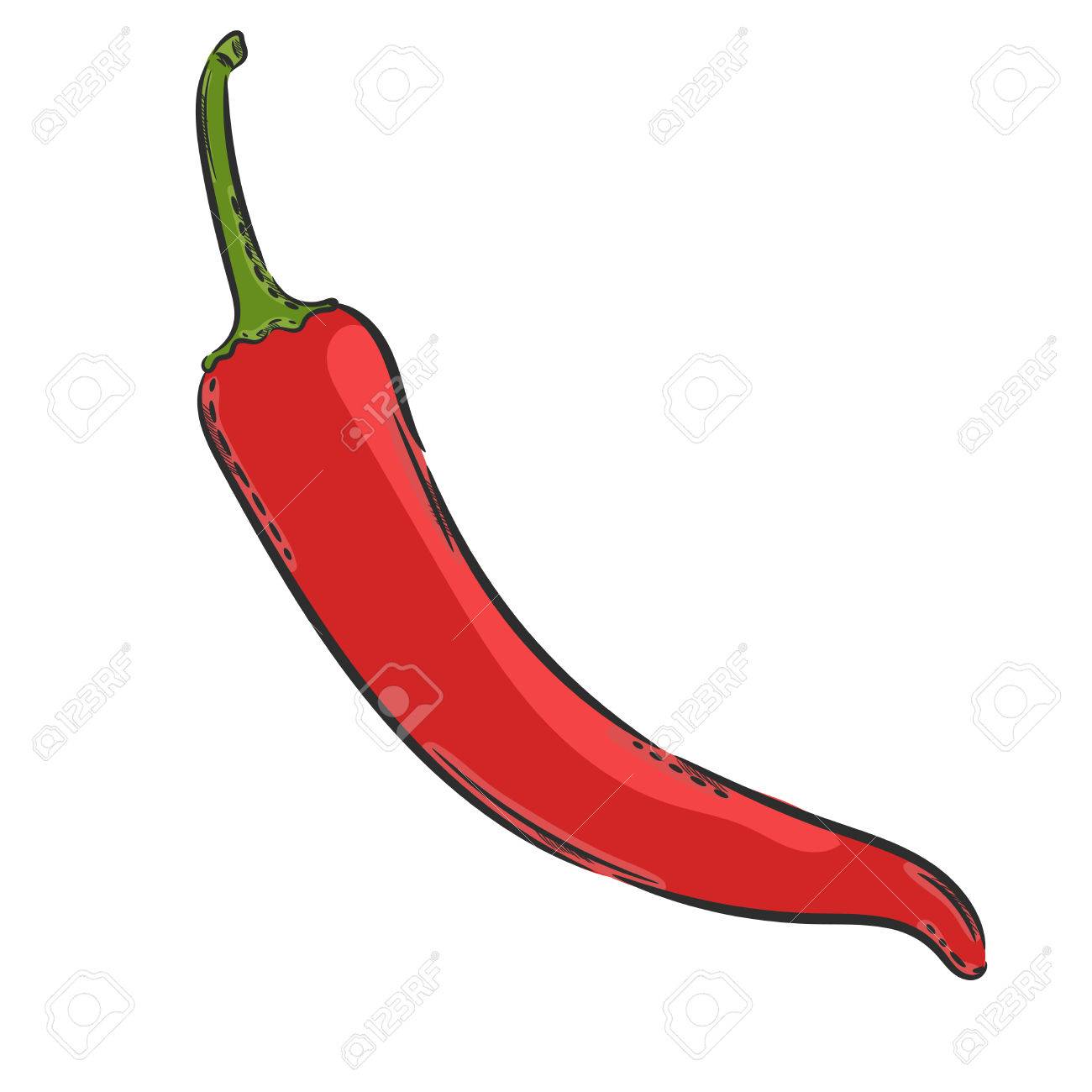Chili Pepper Drawing at GetDrawings Free download