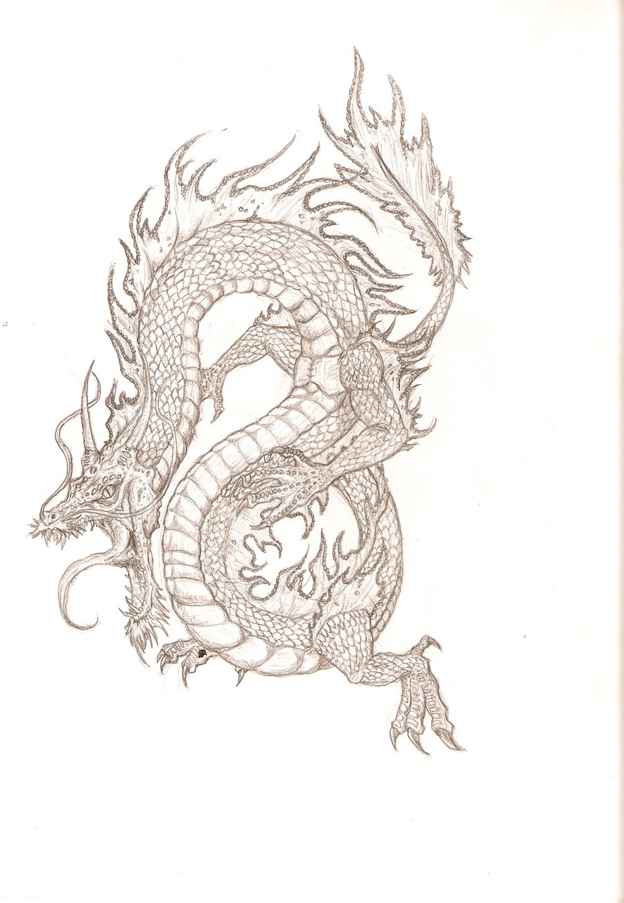 Chinese Dragon Head Drawing at GetDrawings | Free download