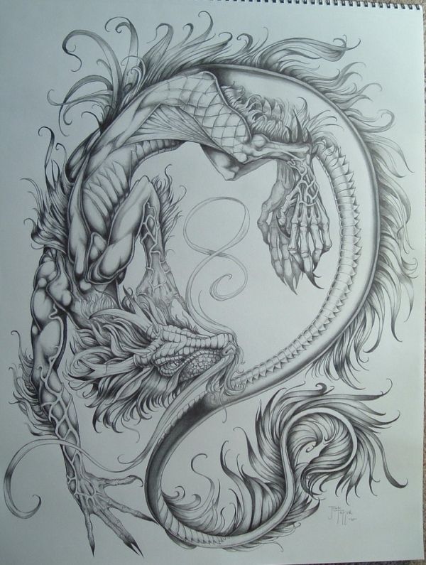Chinese Dragon Pencil Drawing at GetDrawings Free download