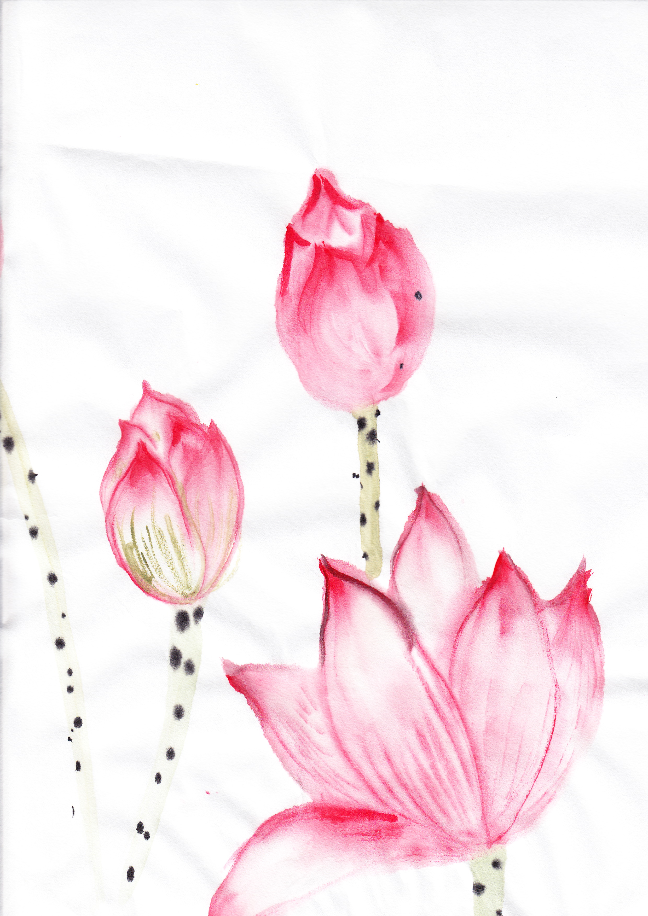 Chinese Flowers Drawing at GetDrawings Free download