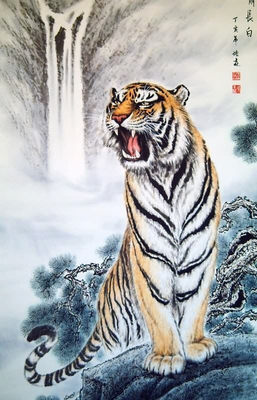 Chinese Tiger Drawing at GetDrawings Free download