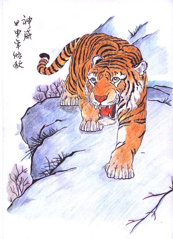 Chinese Tiger Drawing at GetDrawings Free download