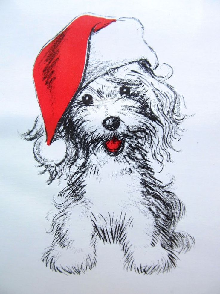 Christmas Animal Drawing at GetDrawings | Free download