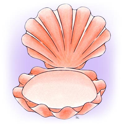 Clam Shell Drawing at GetDrawings | Free download