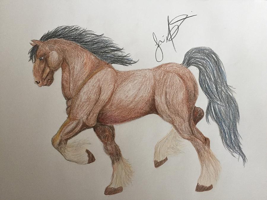 Clydesdale Drawing at GetDrawings Free download