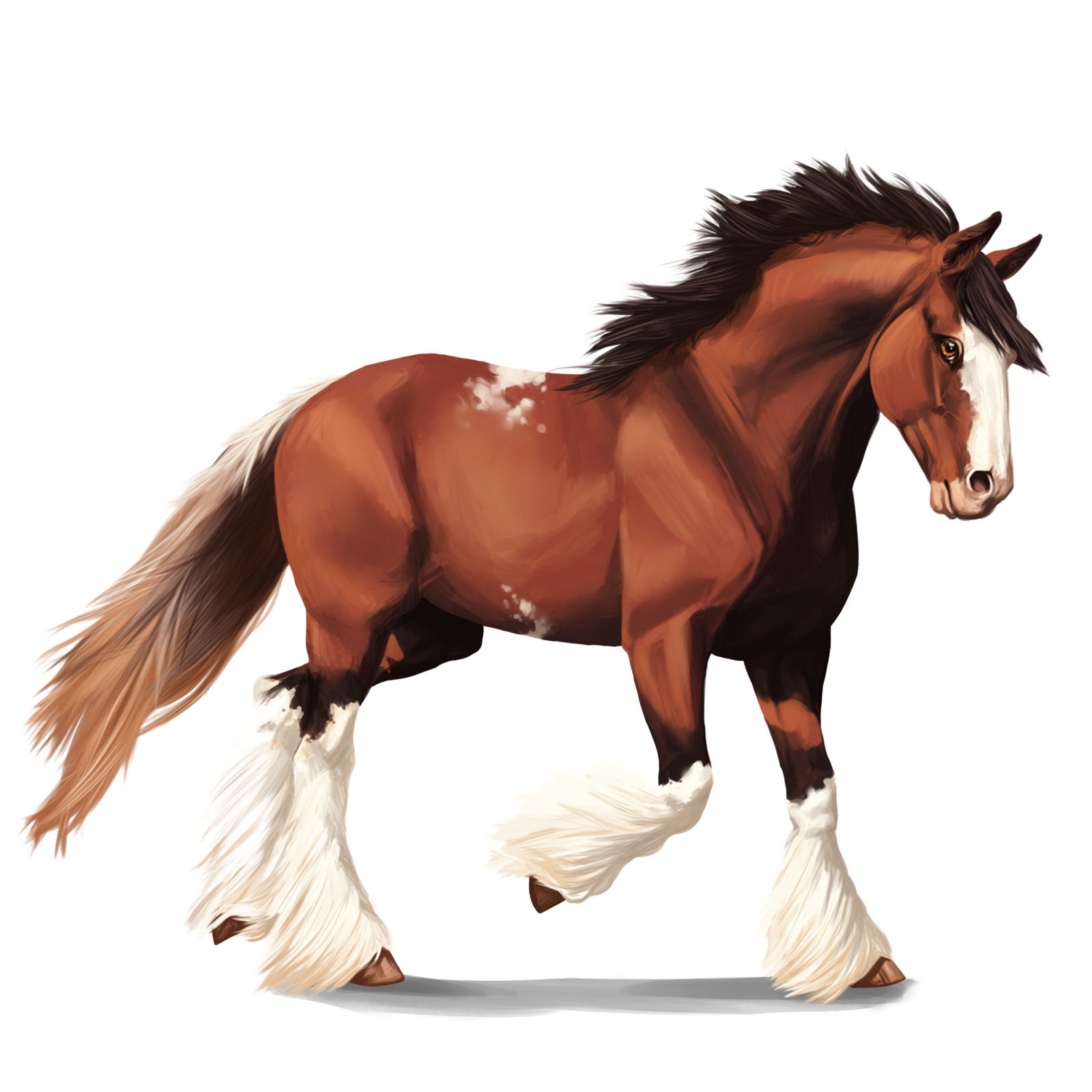 Clydesdale Horse Drawing at GetDrawings Free download