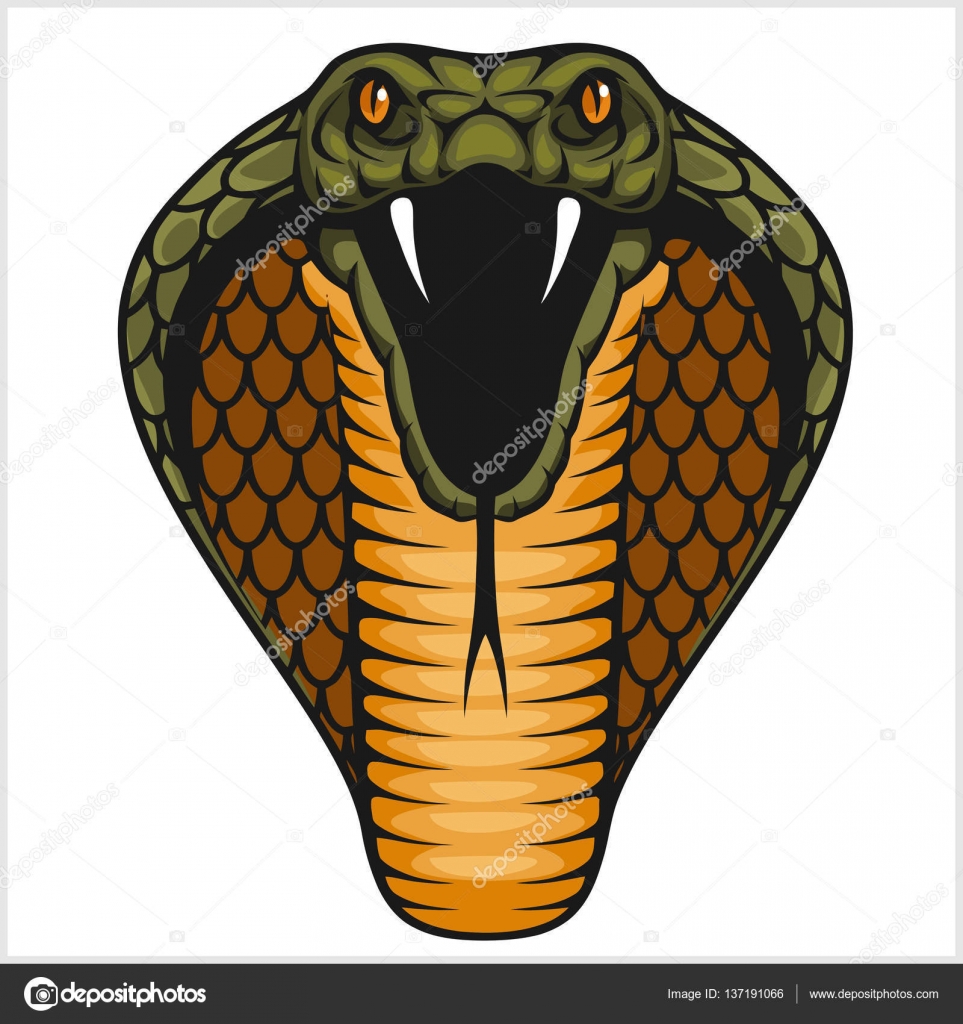 Cobra Head Drawing at GetDrawings | Free download