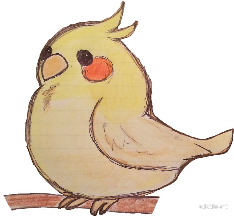 Cockatiel Drawing at GetDrawings | Free download