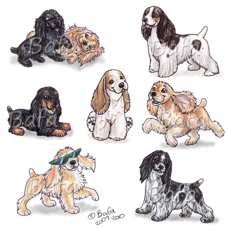 Cocker Spaniel Drawing at GetDrawings | Free download