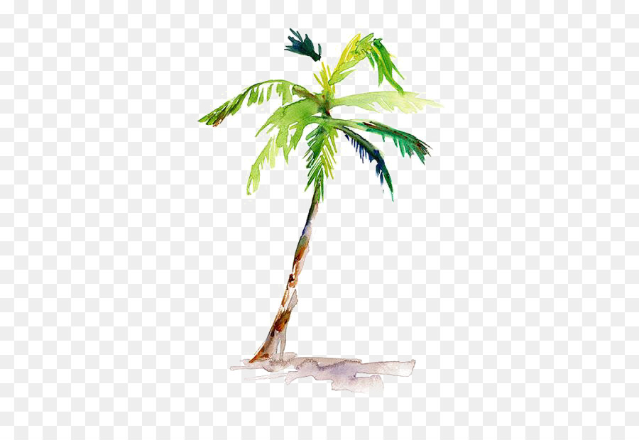 Coconut Tree Pictures Drawing at GetDrawings | Free download