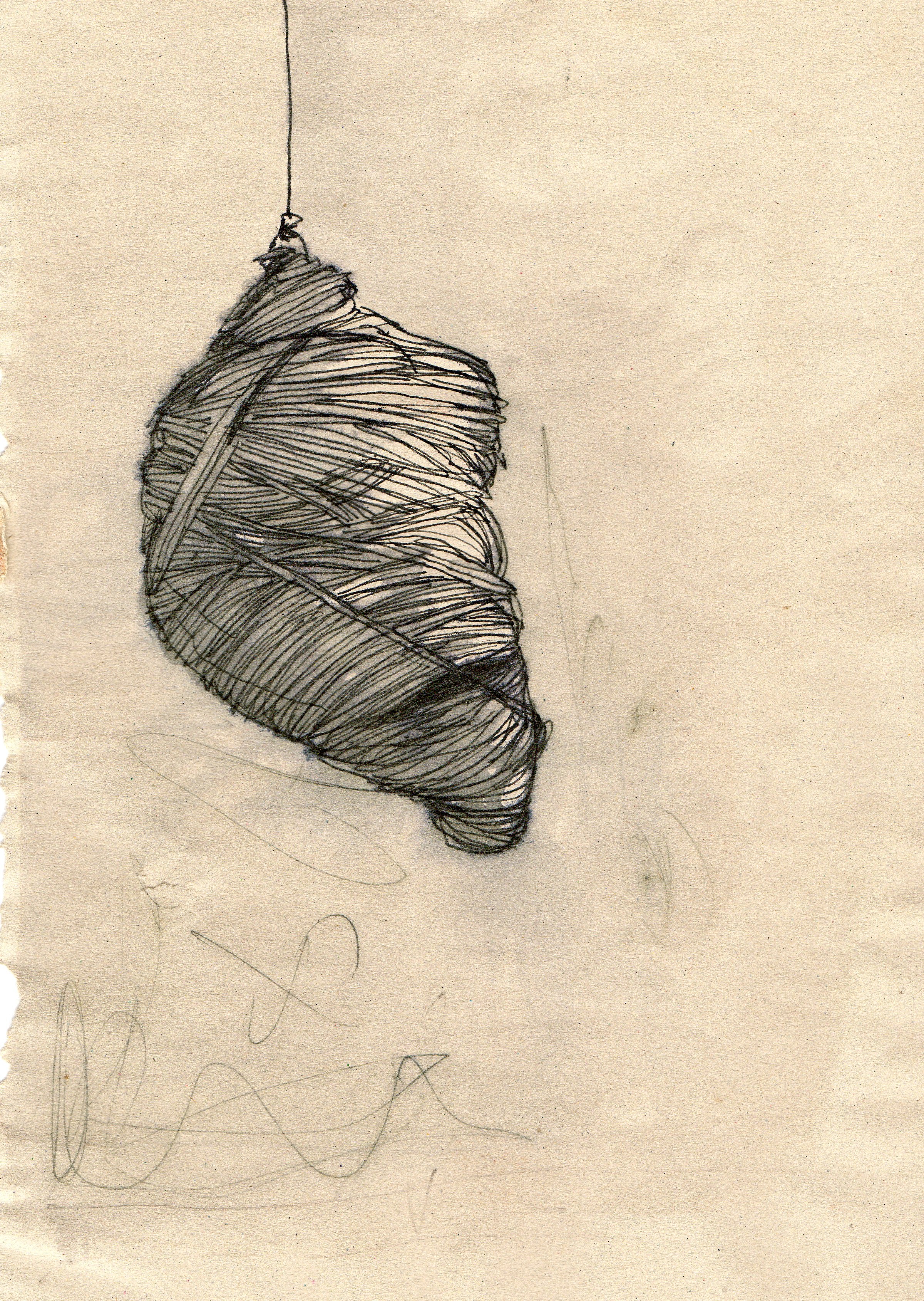 Cocoon Drawing at GetDrawings Free download