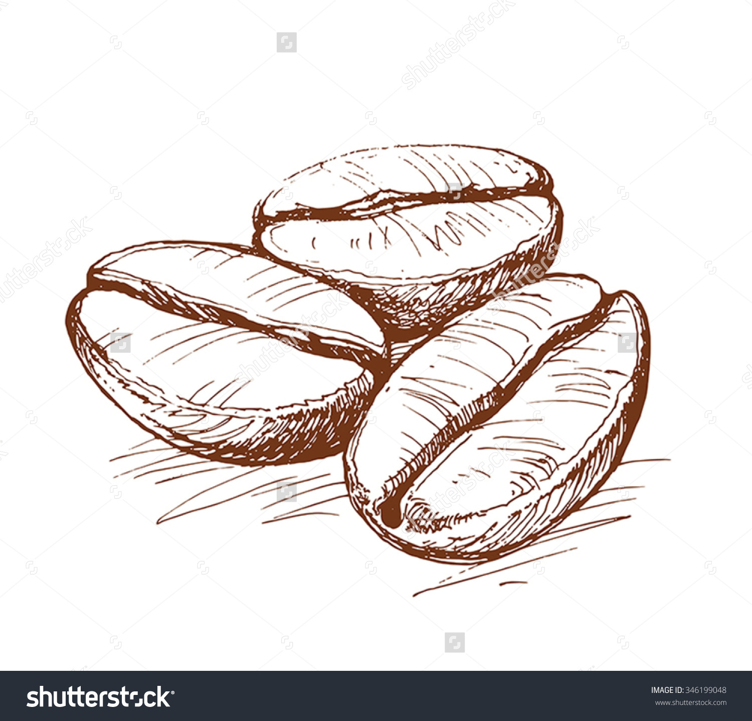 Coffee beans sketch vector free