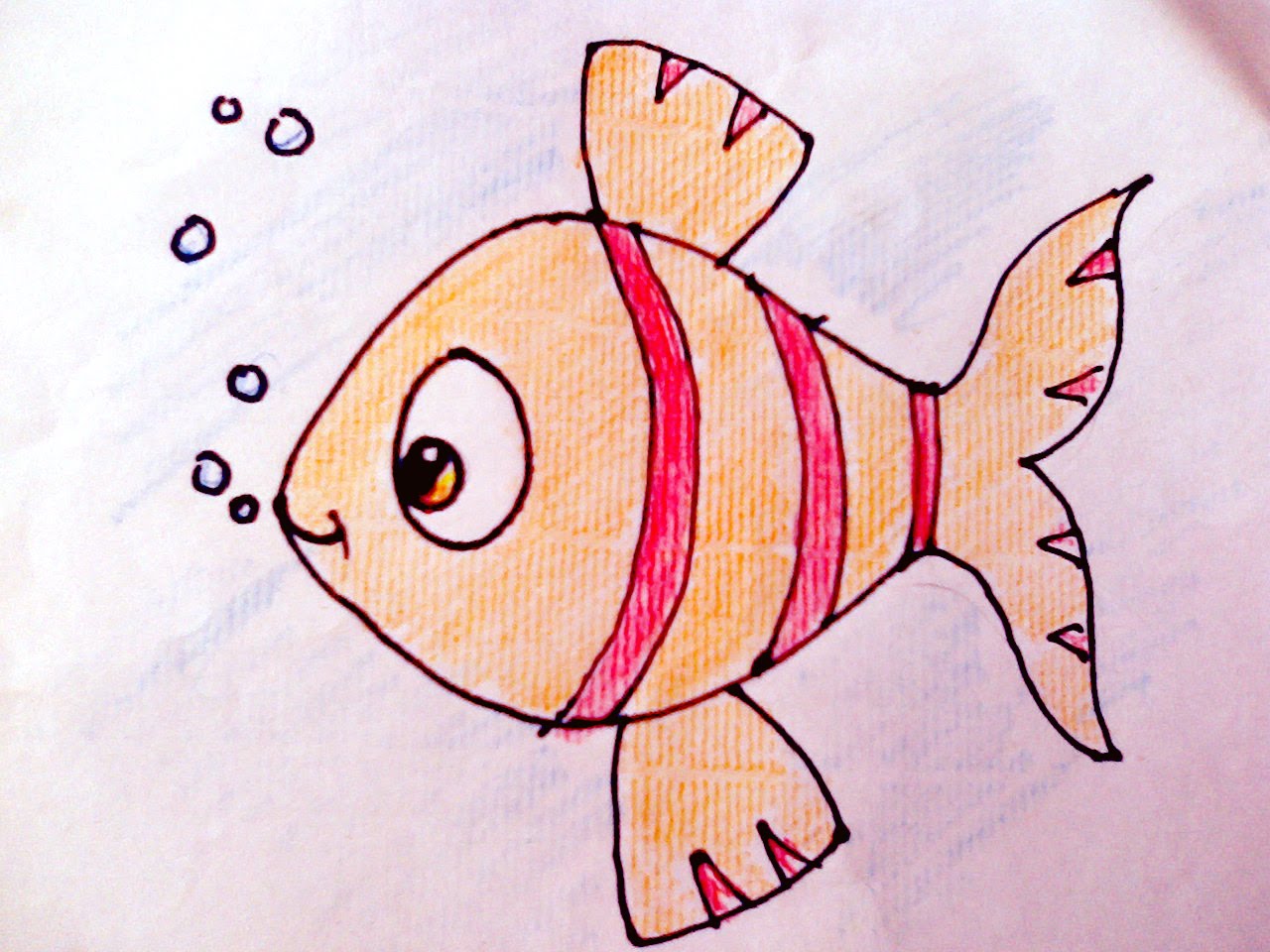 Fish Drawing Color