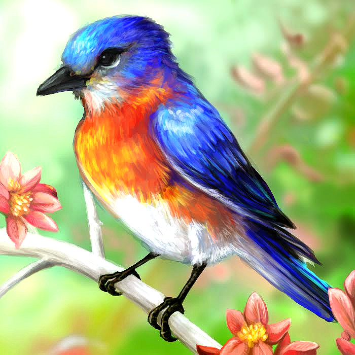 Colorful Bird Drawing at GetDrawings Free download