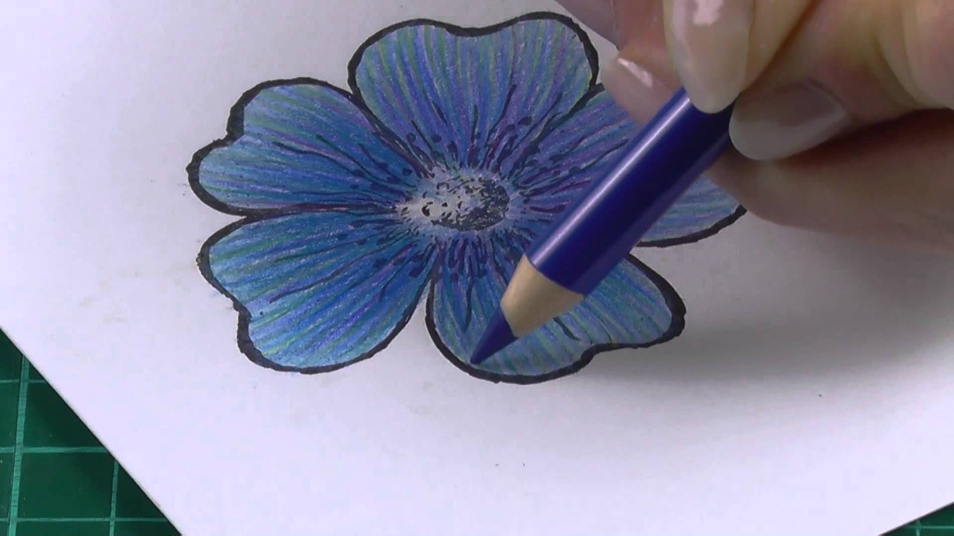 Easy Colored Pencil Flowers