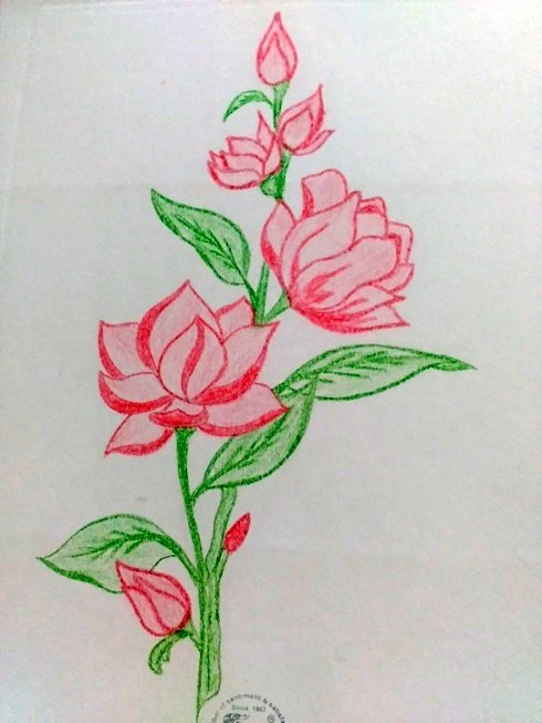 Pictures Of Flowers To Draw With Color - naianecosta16
