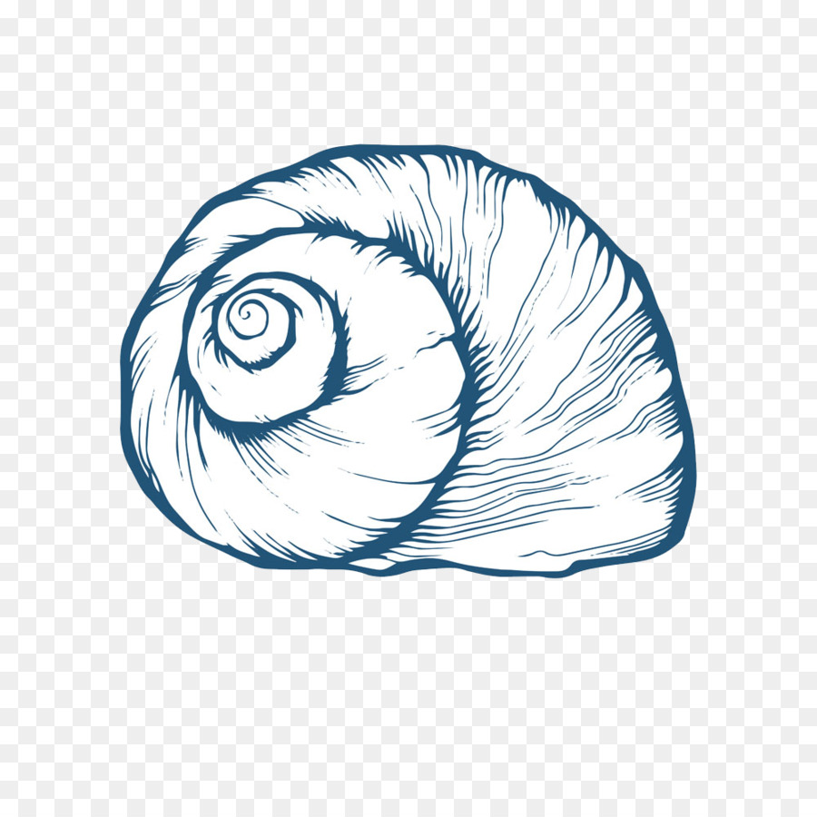 Conch Drawing at GetDrawings | Free download