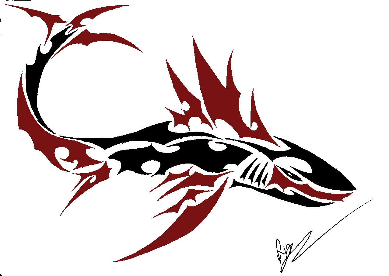 Cool Shark Drawing at GetDrawings Free download
