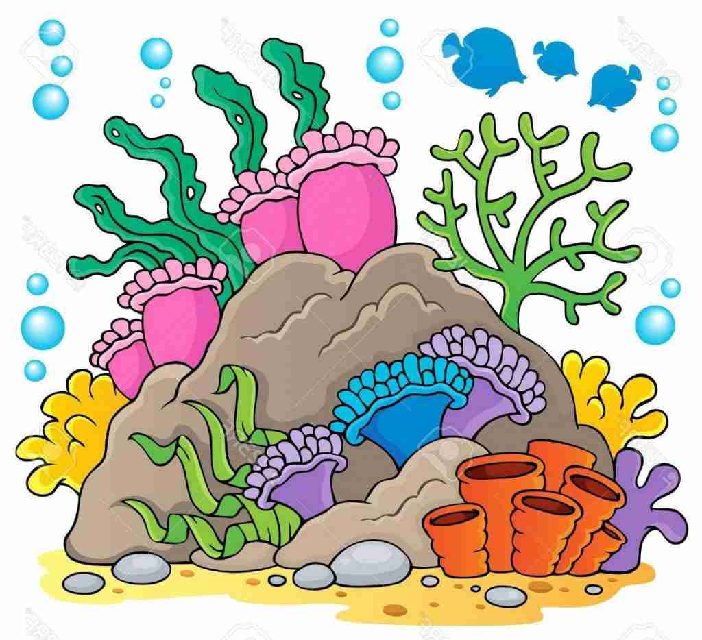Coral Reef Drawing at GetDrawings | Free download