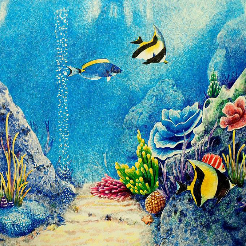Coral Reef Drawing With Color at GetDrawings Free download