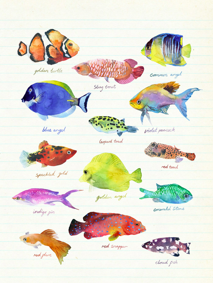 Coral Reef Fish Drawing at GetDrawings Free download