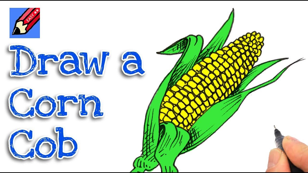 Amazing How To Draw An Ear Of Corn of the decade Don t miss out 