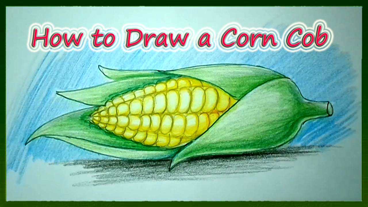 Corn Drawing Image at GetDrawings | Free download