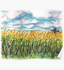 Corn Field Drawing at GetDrawings | Free download