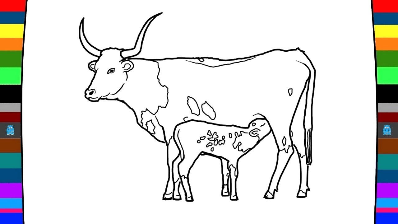 Cow Calf Drawing at GetDrawings | Free download