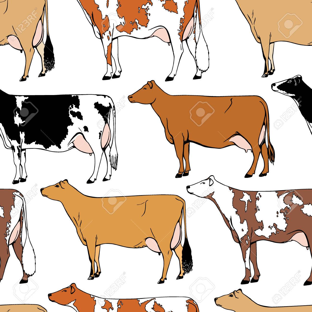 Cows Drawing at GetDrawings Free download