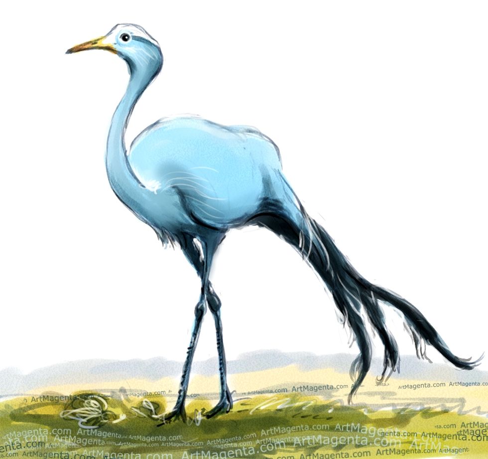 Crane Bird Drawing at GetDrawings Free download