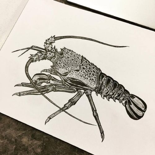 Crayfish Drawing at GetDrawings | Free download